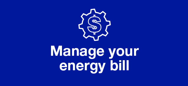 Manage Your Energy Bill