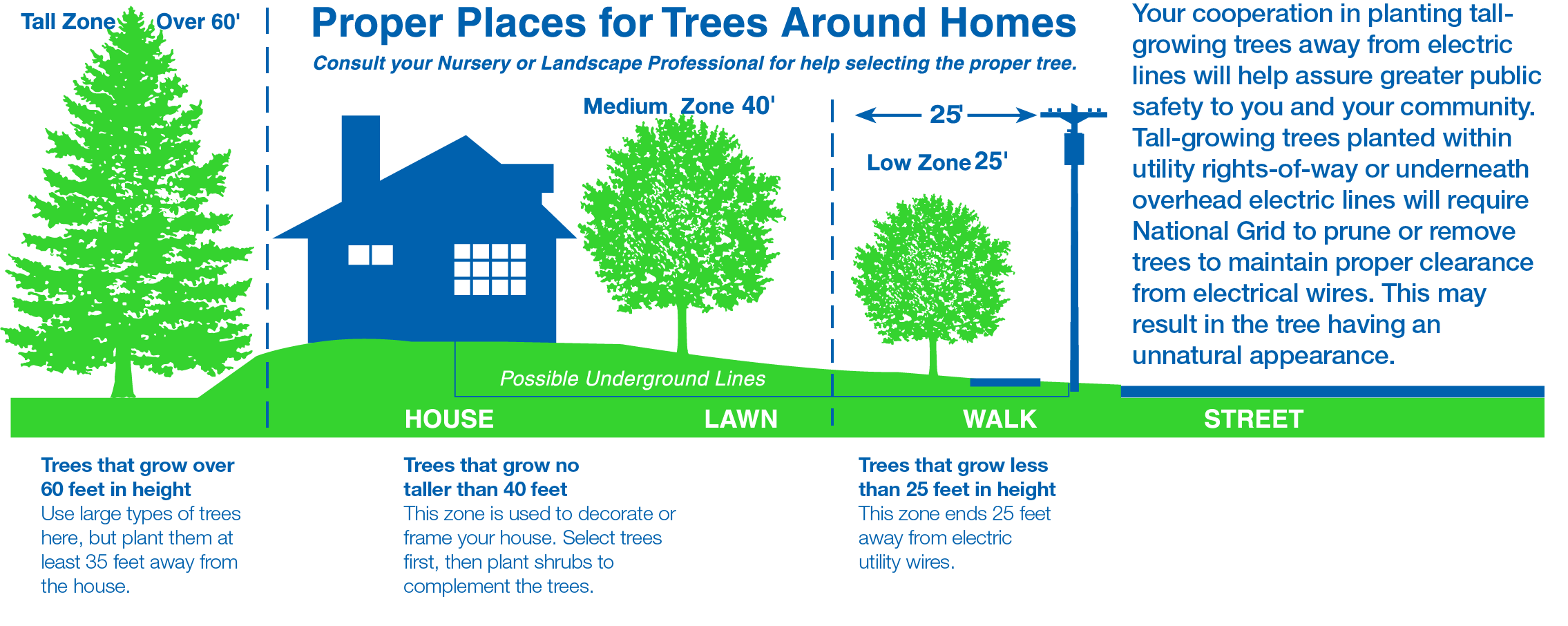 Proper Places for Trees Around Homes