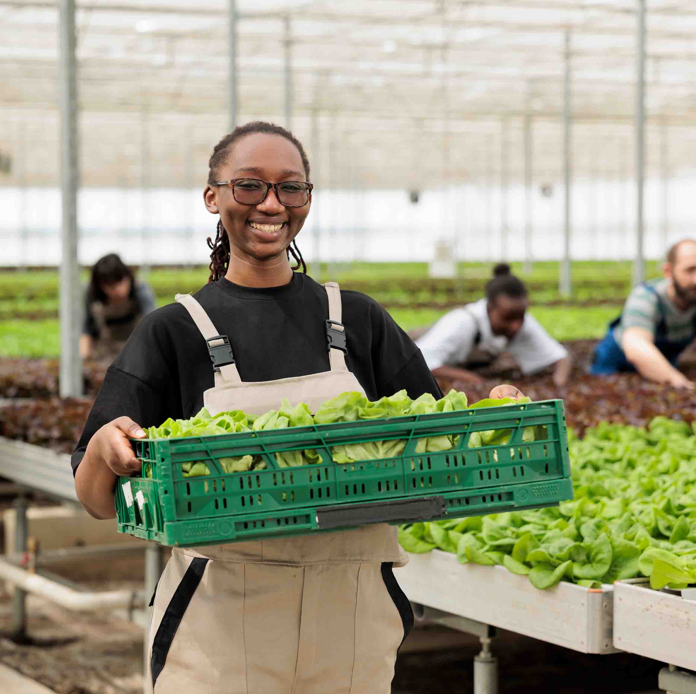 Person working in a greenhouse