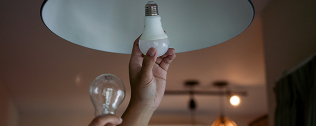 Person putting in light bulb