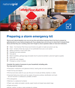 Image of Storm and Hurricane Kit Checklist