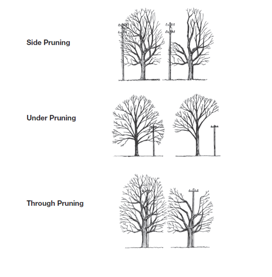 different ways of tree trimming